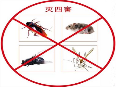和顺杀虫灭鼠告诉你害虫的危害有哪些，有没有必要定期防治虫害