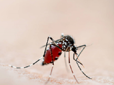 大沥防控蚊虫站驱蚊子最有效的方法是什么