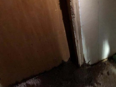 狮山蚁害防控所为什么居住的房屋里会有白蚁